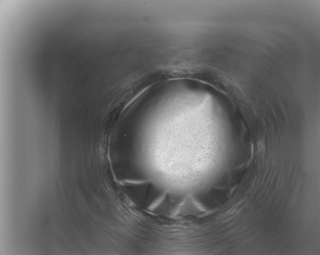 X0000071771300200607150018