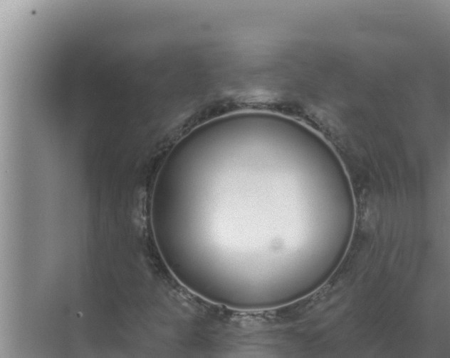 X0000071771301200607150018