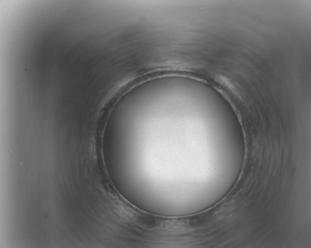 X0000071771307200607150018