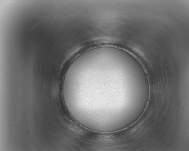 X0000071771309200607150018