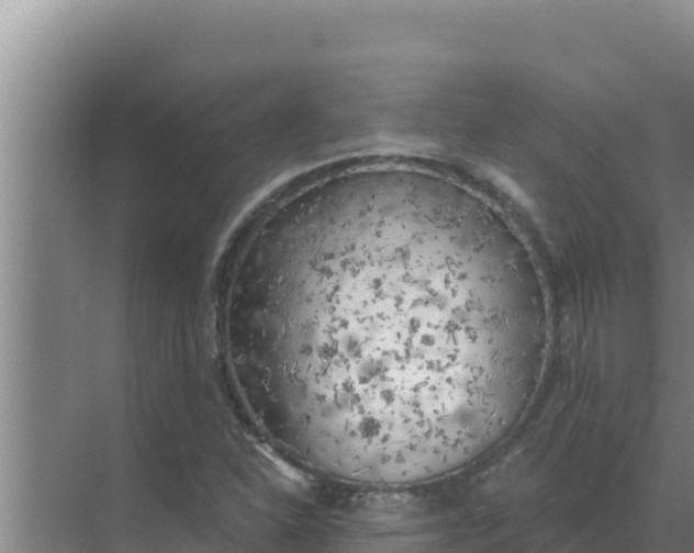 X0000071771310200607150018