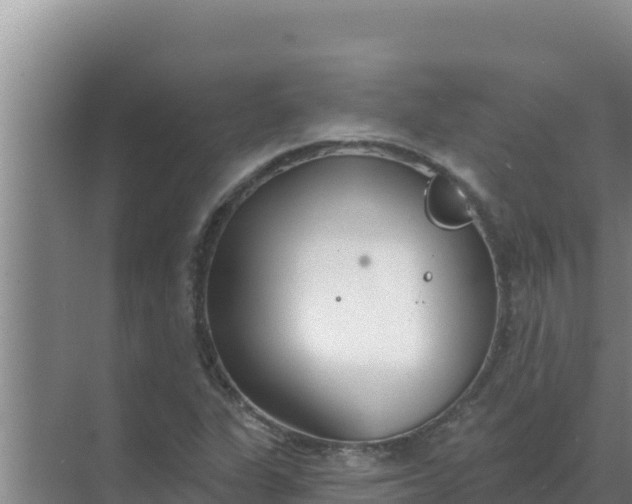 X0000071771311200607150018