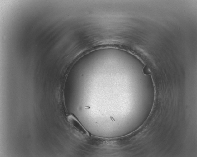 X0000071771313200607150018