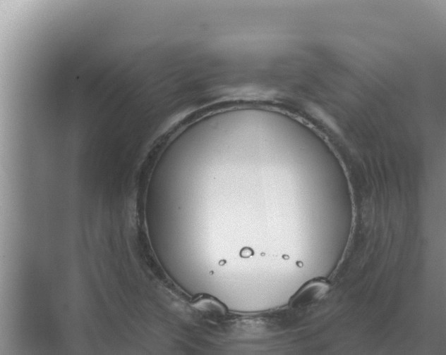 X0000071771315200607150018