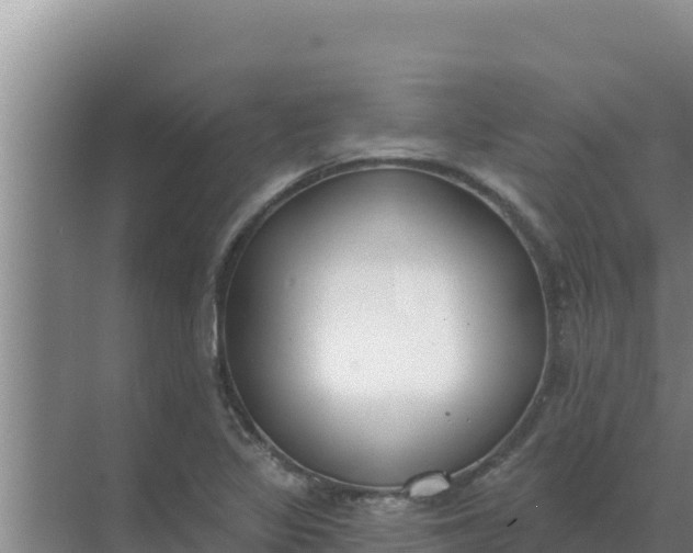 X0000071771317200607150018