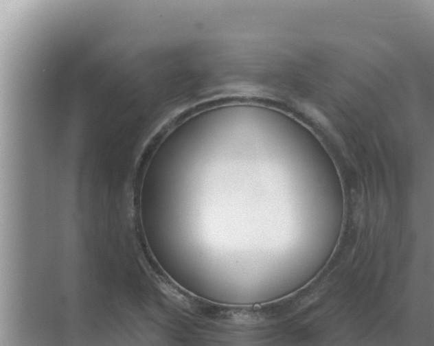 X0000071771318200607150018