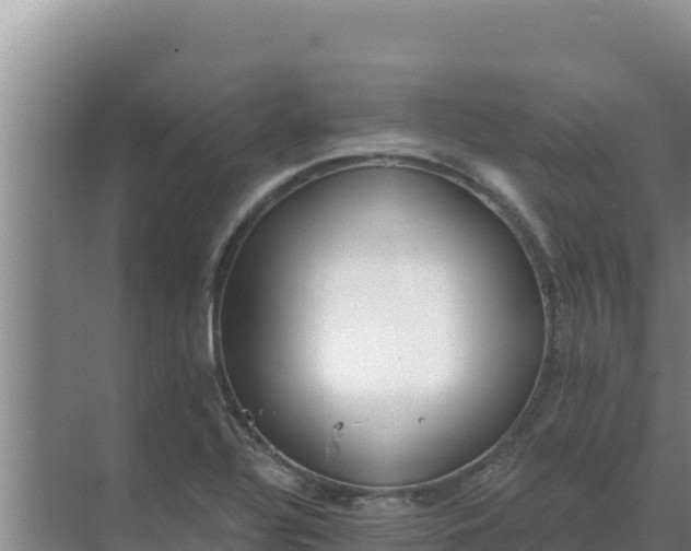 X0000071771320200607150018