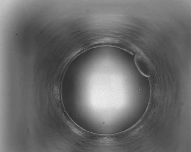 X0000071771321200607150018