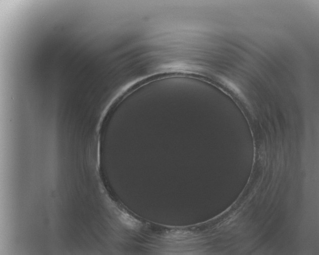 X0000071771323200607150018