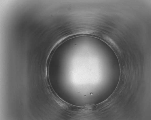 X0000071771324200607150018