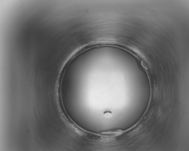 X0000071771325200607150018