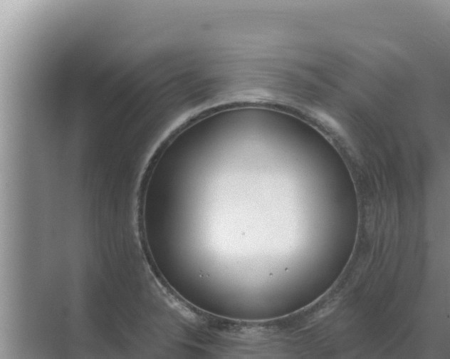 X0000071771326200607150018