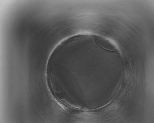 X0000071771327200607150018