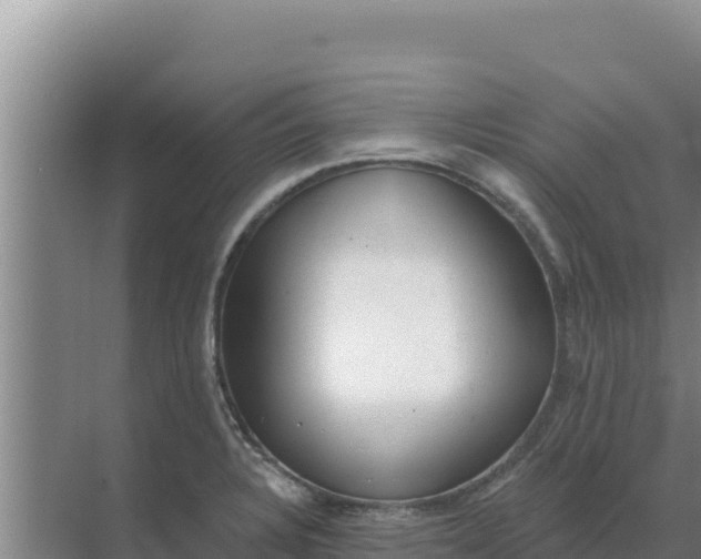 X0000071771328200607150018