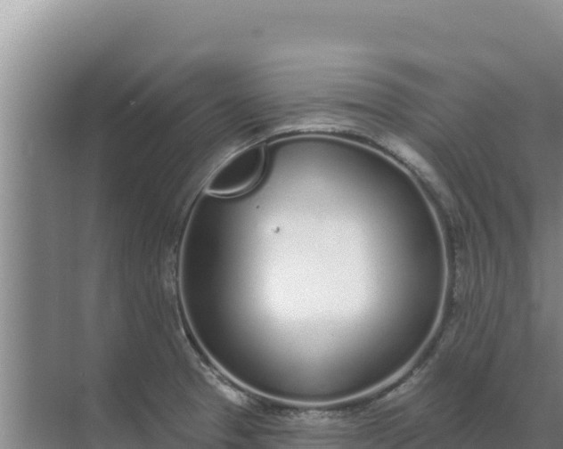 X0000071771329200607150018