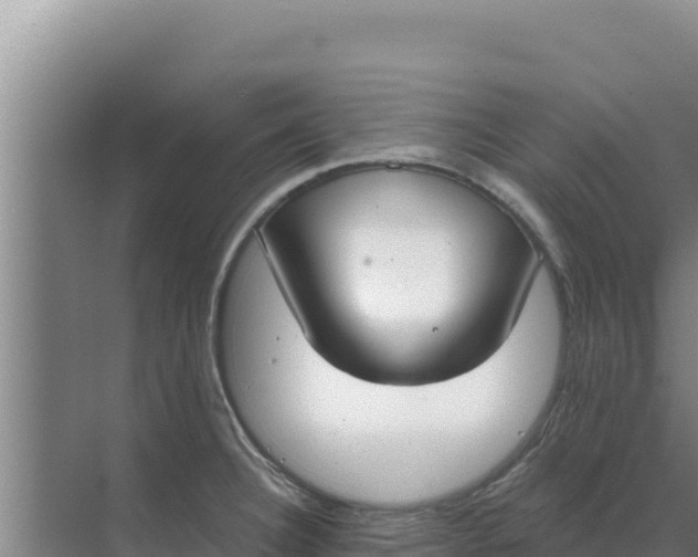 X0000071771332200607150018