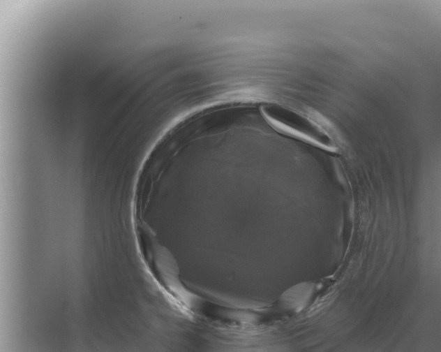 X0000071771334200607150018