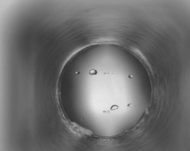 X0000071771336200607150018