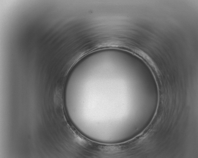 X0000071771337200607150018