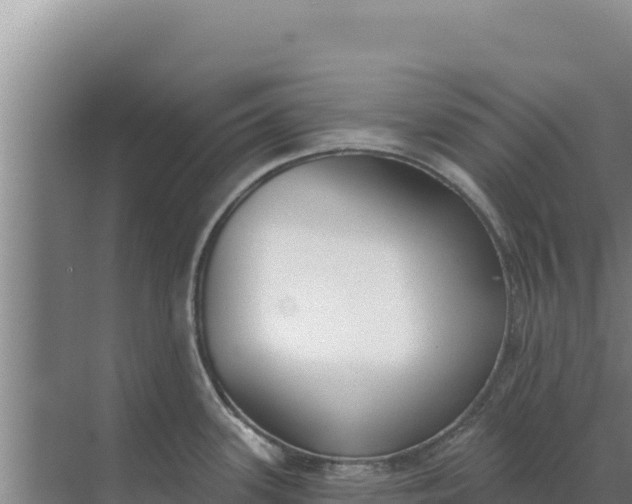 X0000071771339200607150018