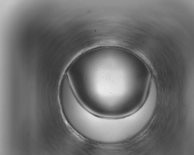 X0000071771342200607150018