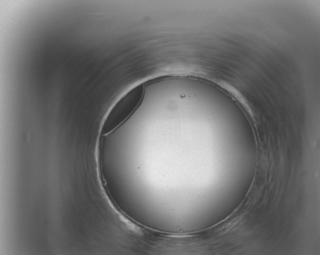 X0000071771343200607150018