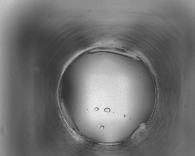 X0000071771344200607150018