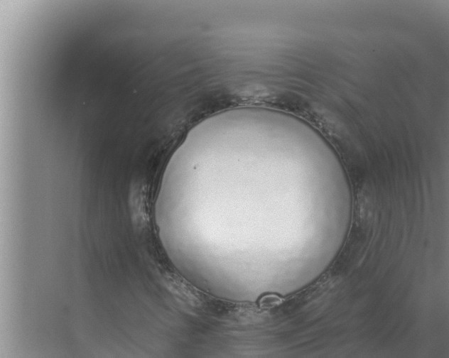 X0000071771346200607150018