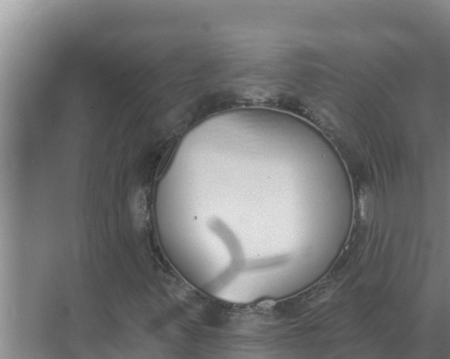 X0000071771347200607150018