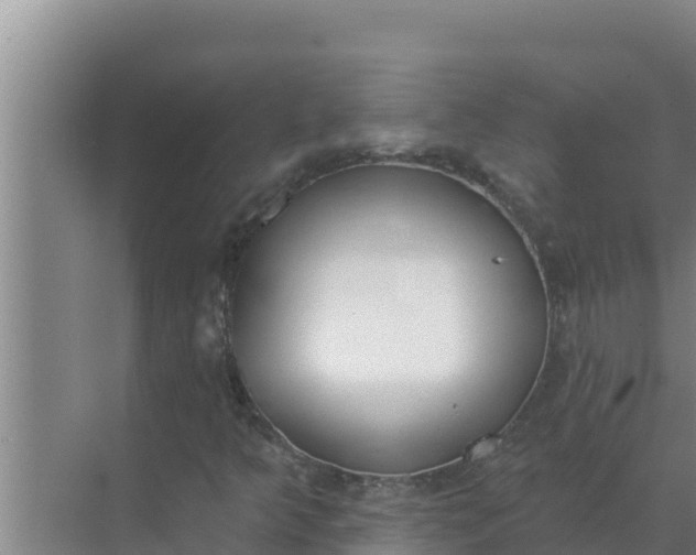 X0000071771349200607150017