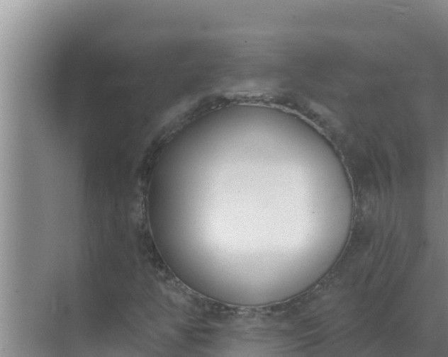 X0000071771350200607150017