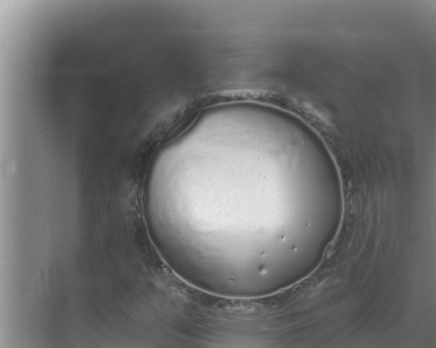 X0000071771351200607150017