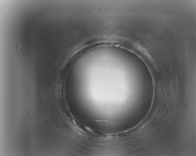 X0000071771352200607150017