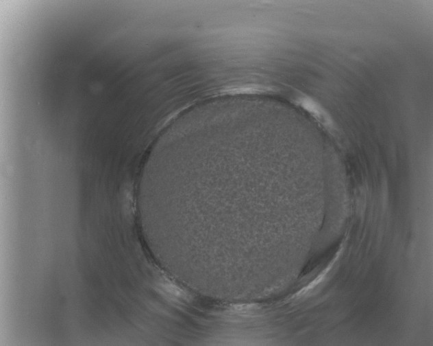 X0000071771353200607150017