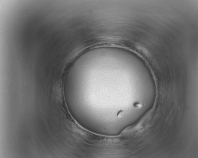 X0000071771354200607150017