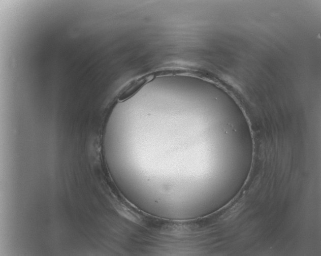 X0000071771355200607150017