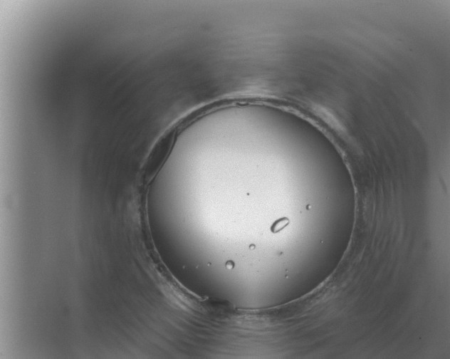 X0000071771356200607150017