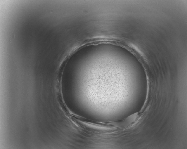 X0000071771357200607150017