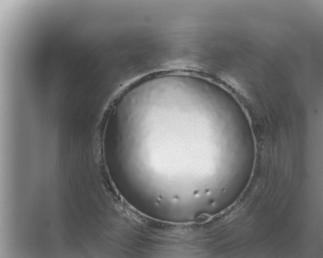 X0000071771358200607150017