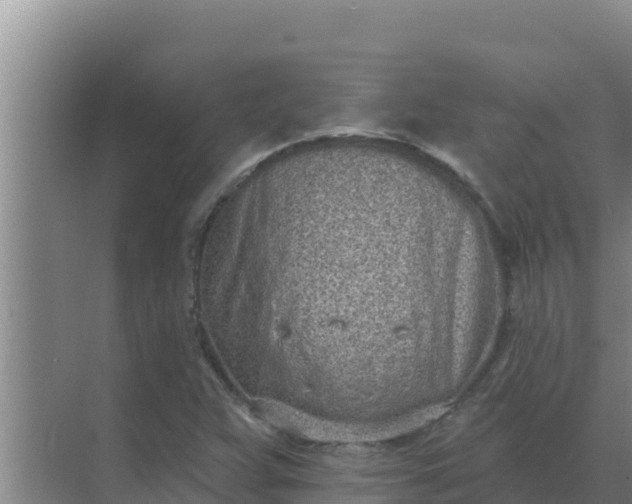 X0000071771359200607150017