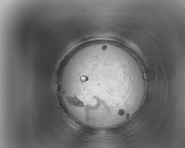 X0000071771360200607150017