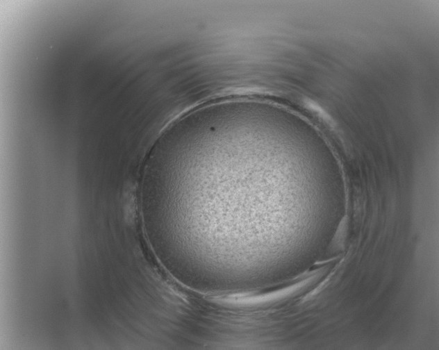 X0000071771361200607150017