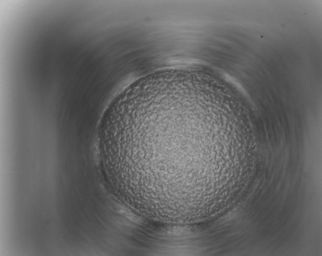 X0000071771362200607150017