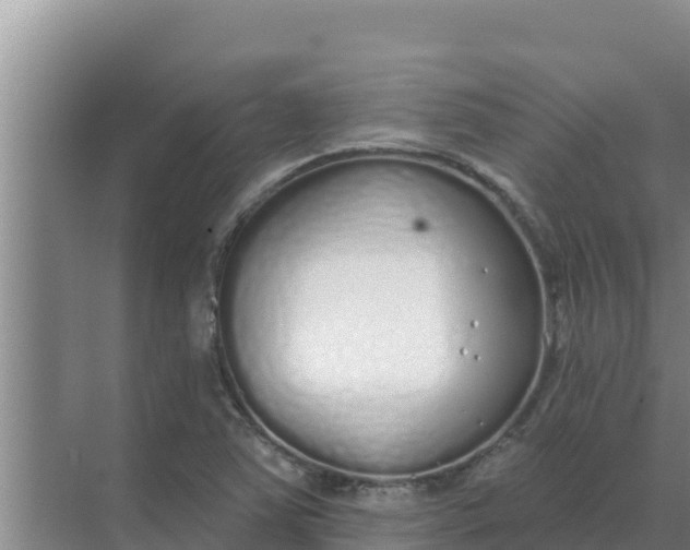 X0000071771363200607150017