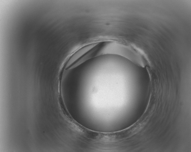 X0000071771365200607150017