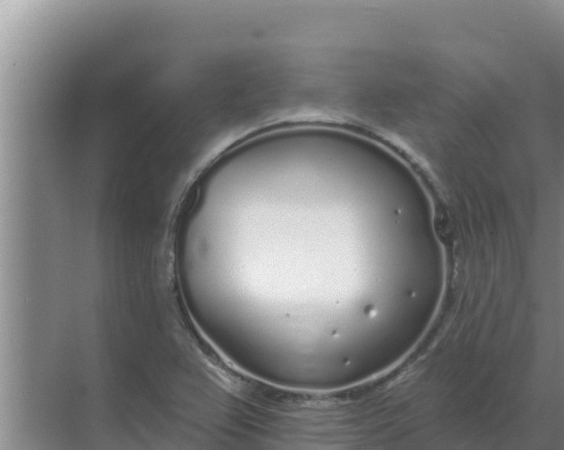 X0000071771367200607150017