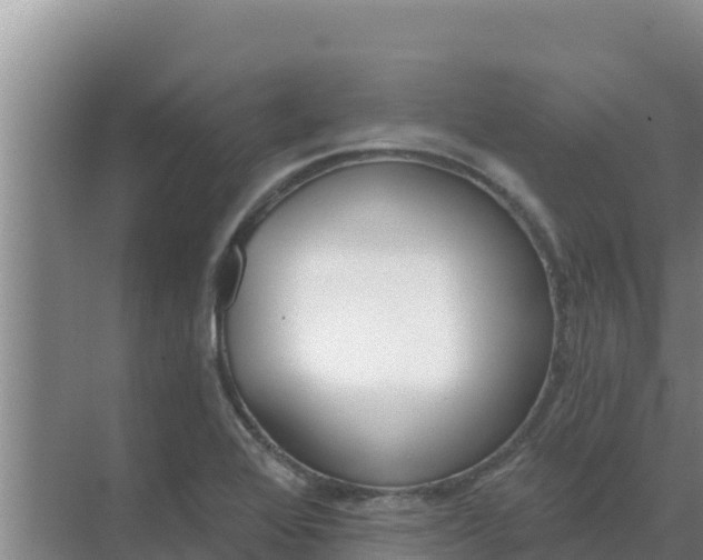 X0000071771368200607150017