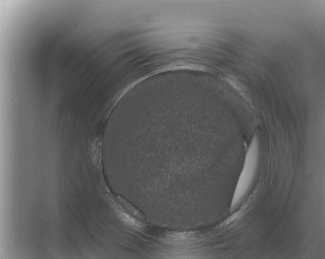 X0000071771369200607150017