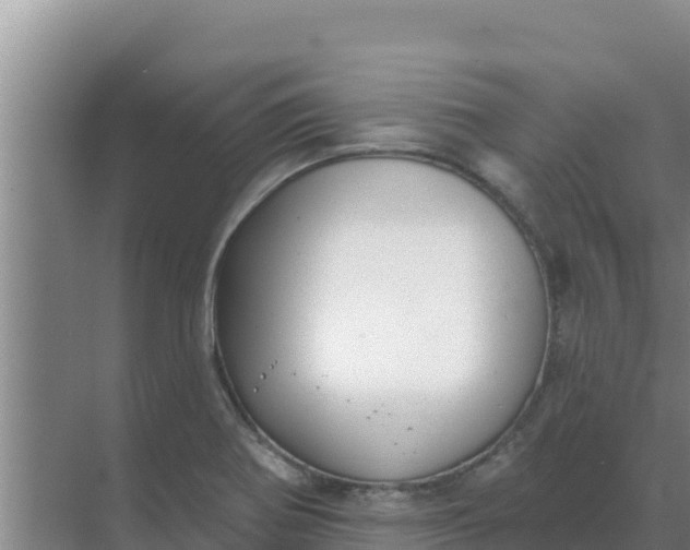 X0000071771370200607150017