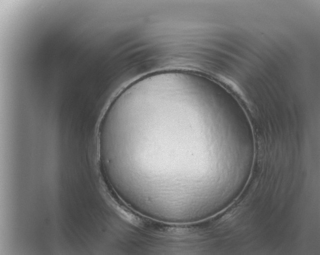 X0000071771371200607150017